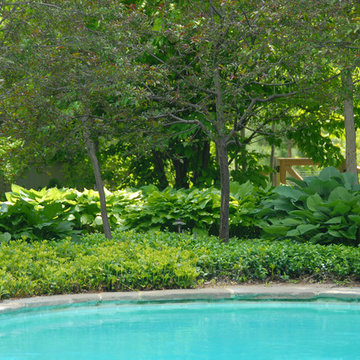 Backyard Oasis - Shelburne, VT - Large Hosta Border