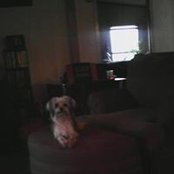 Lynne Callaway's photo