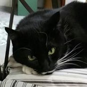 Yvonne Davis's photo
