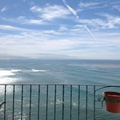 Martha Rodriguez's photo