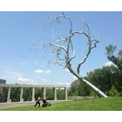 Alexandra Hovatter's photo