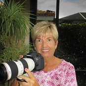 Foto de Nancy Falco
