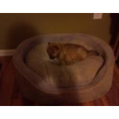 Scotty Hallman's photo