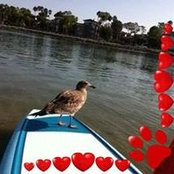 Kelli Roche's photo
