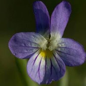 Julia Edwards's photo