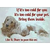 Bobbi Reiter's photo