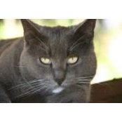Kim MacKenzie's photo