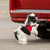 Barbara Vann's photo