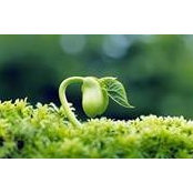 Betsy Weigle's photo