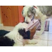 Lisa Kemmerer's photo