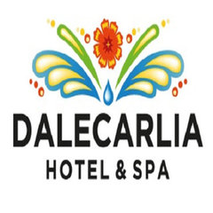 Dalecarlia Hotel & Spa