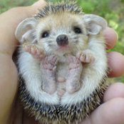 Christie Podlozny's photo