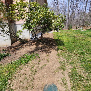 French Drain & Property Drainage Installation
