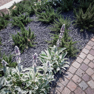 Italiano contemporaneo