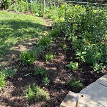After Photo - Back Yard