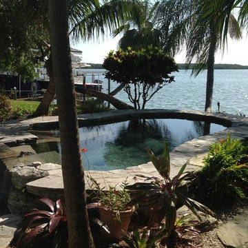 Pool Design