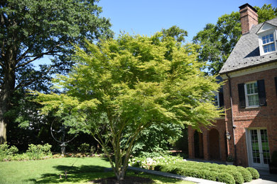 Inspiration for a traditional landscaping in DC Metro.