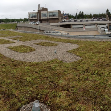 Green Roofs