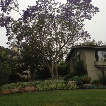 Design Build: Vista Botanical Home