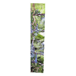 Vitrage - Window Treatments