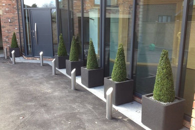 Contemporary Planters with Traditional Trees