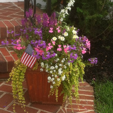 Container Gardens