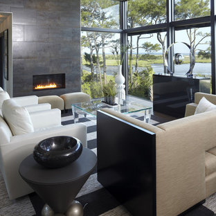 Inspiration for a modern living room remodel in Charleston with a ribbon fireplace