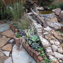 tntstevens yard ideas