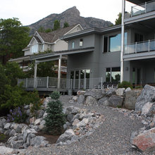 back yard