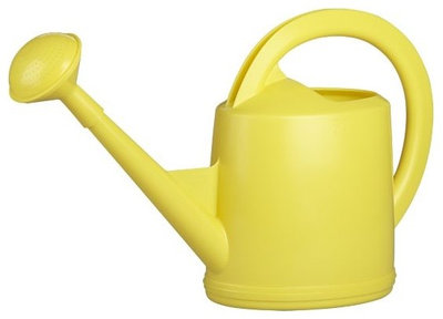 Contemporary Watering Cans by Crate&Barrel