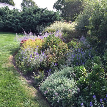 Pollinator and Rain Gardens