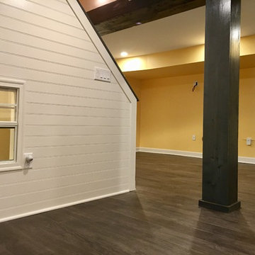 Arlington Basement, Bathroom and Kids Play Area