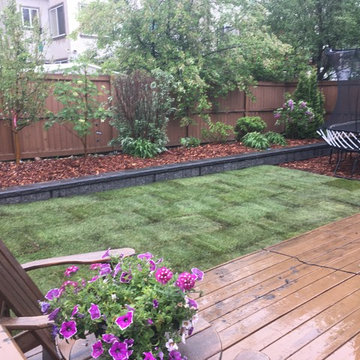 Retaining Wall and Re-Grading