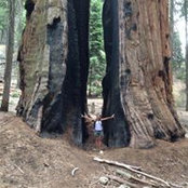 Jan Dewaters's photo