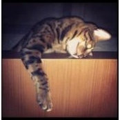 Foto von Natha Nuttin