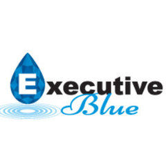 Executive Blue Pools