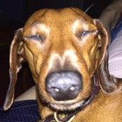 Heidi Smalls billede