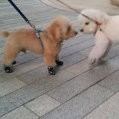 Cai Xuan's photo