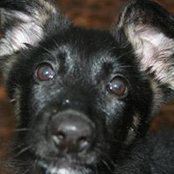 Catherine Morton's photo