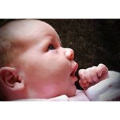 Judy Field's photo