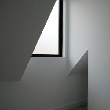 Shaw Laneway House