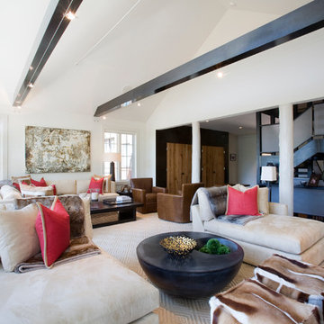 Contemporary Full Home Design in Raspberry Patch, CO