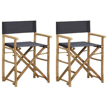 vidaXL Folding Director's Chairs 2 Pcs Camping Chair Dark Gray Bamboo and Fabric