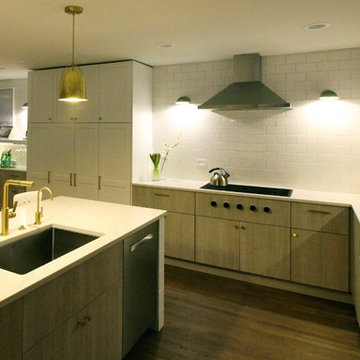 LakeView Interior Renovation