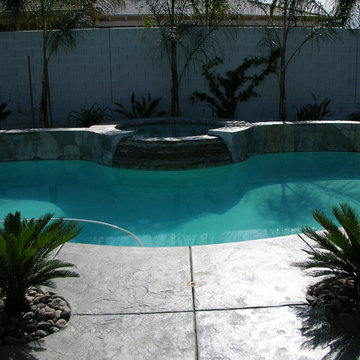Desert Backyard Pool & Spa