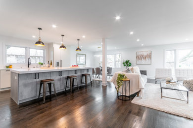 Living room - modern living room idea in Chicago