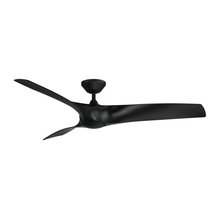 Ceiling Fans