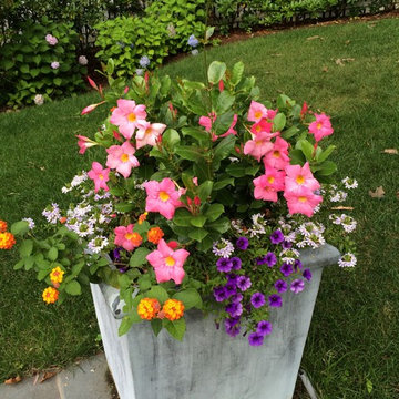Container gardening