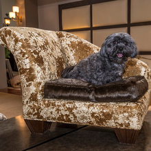 for dog