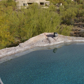 Pima Canyon Spectacle